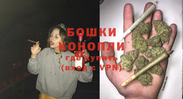 сатива Каменск-Шахтинский