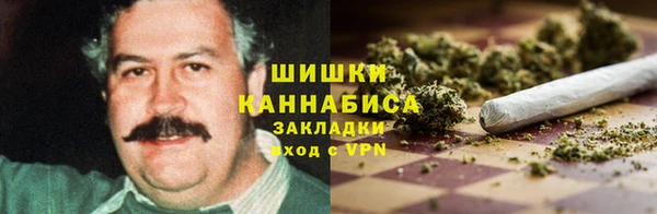 эйфоретик Каменногорск