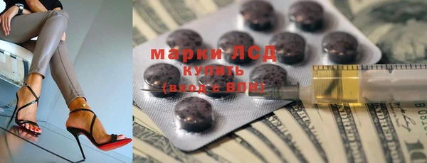 эйфоретик Каменногорск