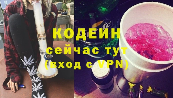 дмт Каменка