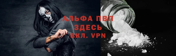 эйфоретик Каменногорск