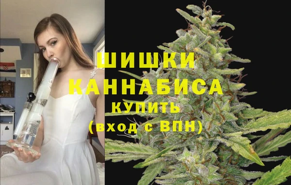 эйфоретик Каменногорск