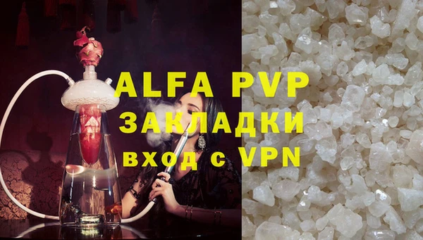 дмт Каменка