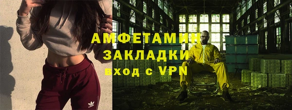дмт Каменка