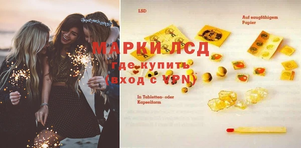 дмт Каменка