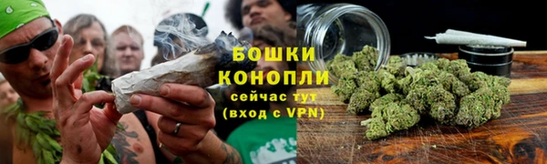 эйфоретик Каменногорск