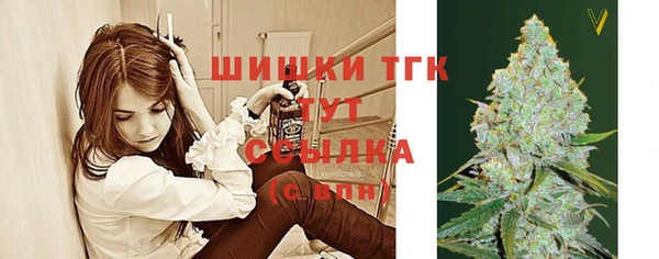 сатива Каменск-Шахтинский