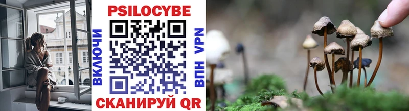 Купить закладки  Губкин  Галлюциногенные грибы ЛСД 